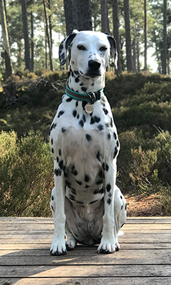 Lucy